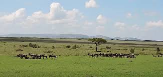 Kenya Adventure Safaris, Active Travel, Epic Active Adventures, YHA Kenya Travel, Epic Tours Safaris, Wildlife Safaris, Safari Bookings, Masai Mara Kenya Safari, Active Holidays in Kenya, African Safari, The Big Five Animals, Kenya Tanzania Safaris.
