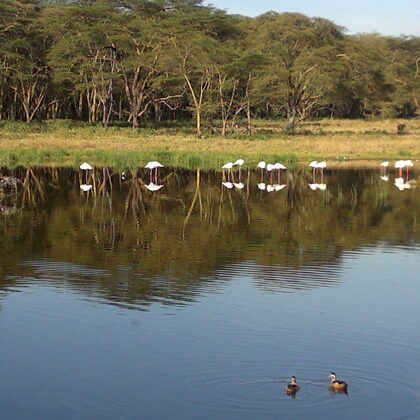 Active Travel,Epic Active AdventuresYHA Kenya TravelEpic Tours SafarisWildlife SafarisSafa