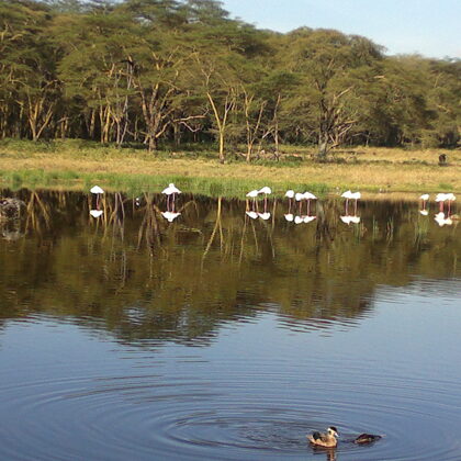Active Travel,Epic Active AdventuresYHA Kenya TravelEpic Tours SafarisWildlife SafarisSafa