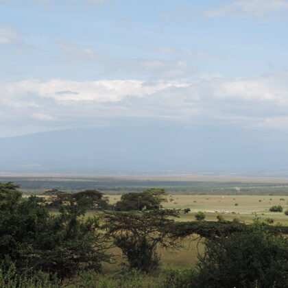 Active Travel,Epic Active AdventuresYHA Kenya TravelEpic Tours SafarisWildlife SafarisSafa