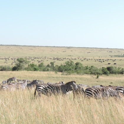 YHA Kenya Travel, Safari Booking,  Epic Tours Safaris, Adventures,  Epic  Active Adventure