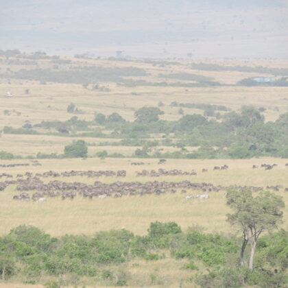 Wildebeest Migration Active Adventure Safari, Safari Booking,YHA Kenya Travel,Wildlife Saf