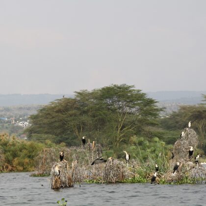 Epic Tours Safaris-Kenya Budget Safaris-African Budget Safaris-Wildlife Safaris-Travel-Act