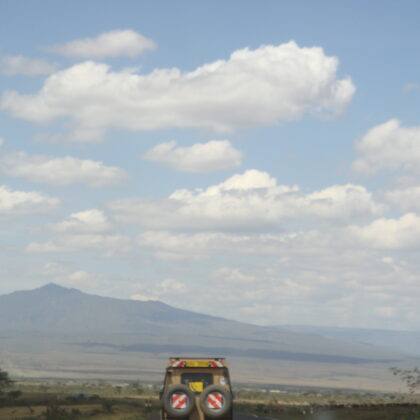 Epic Tours Safaris-Kenya Budget Safaris-African Budget Safaris-Wildlife Safaris-Travel-Act