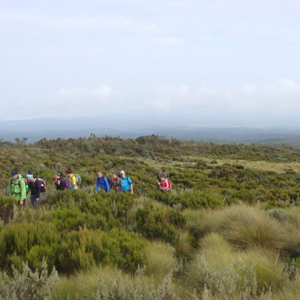 Trekking Mount Kenya, Summit Treks, Small Group Walking Adventures, Epic Active Adventures