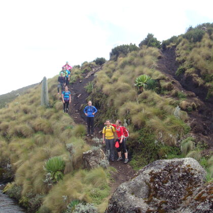 Trekking Mount Kenya, Summit Treks, Small Group Walking Adventures, Epic Active Adventures