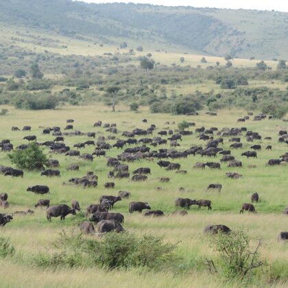 Kenya Budget Safaris-African Budget Safaris-Wildlife Safaris-Travel-Active Adventures.