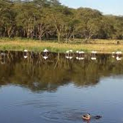 Epic Tours Safaris-Kenya Budget Safaris-African Budget Safaris-Wildlife Safaris-Travel-Act