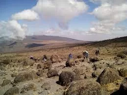 Climbing Mt Kilimanjaro, Summit Treks, Small Group Walking Adventures, Epic Active Adventu