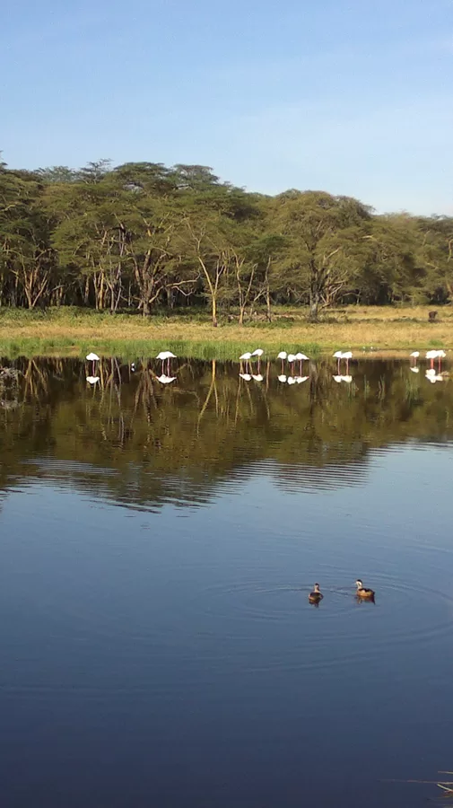 Active Travel,Epic Active AdventuresYHA Kenya TravelEpic Tours SafarisWildlife SafarisSafa