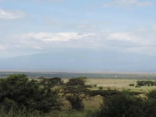 Active Travel,Epic Active AdventuresYHA Kenya TravelEpic Tours SafarisWildlife SafarisSafa