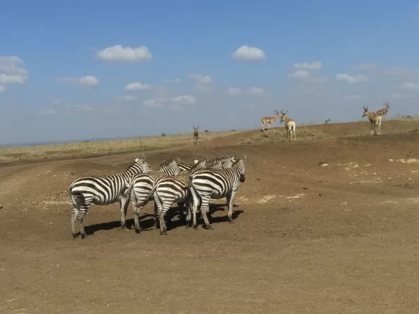 YHA Kenya Travel, Safari Booking,  Epic Tours Safaris, Adventures,  Epic  Active Adventure