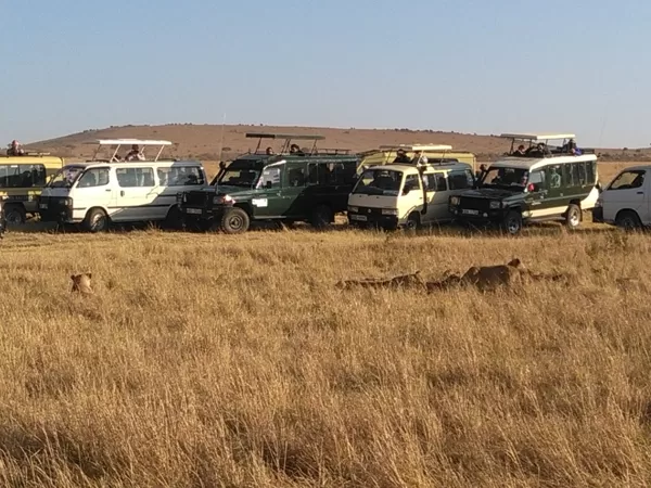 Epic Small Private Group Safari Tours, Small Group Walking Adventures,Active Holidays, Saf