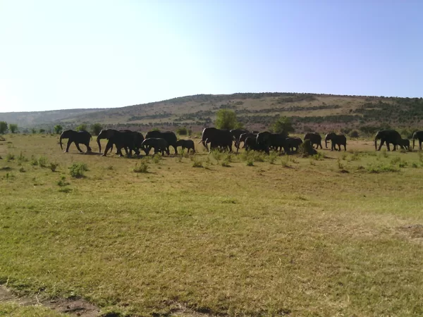 Epic Tours Safaris-Kenya Budget Safaris-African Budget Safaris-Wildlife Safaris-Travel-Act