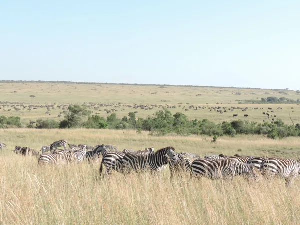 YHA Kenya Travel, Safari Booking,  Epic Tours Safaris, Adventures,  Epic  Active Adventure