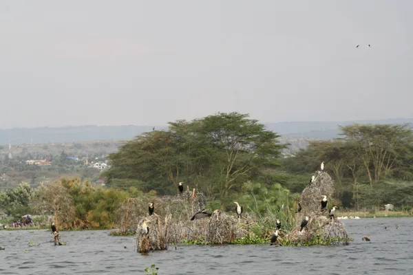 Epic Tours Safaris-Kenya Budget Safaris-African Budget Safaris-Wildlife Safaris-Travel-Act