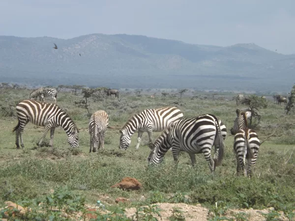 YHA Kenya Travel, Safari Booking,  Epic Tours Safaris, Adventures,  Epic  Active Adventure