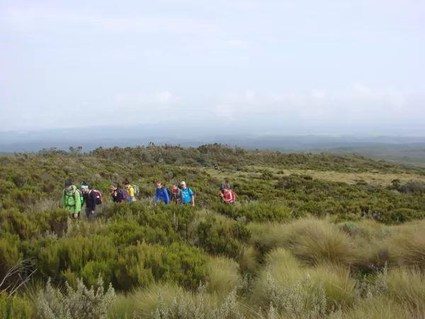 Trekking Mount Kenya, Summit Treks, Small Group Walking Adventures, Epic Active Adventures