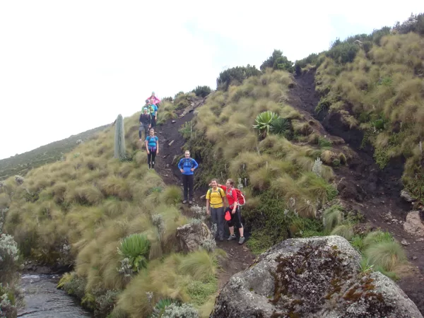 Trekking Mount Kenya, Summit Treks, Small Group Walking Adventures, Epic Active Adventures