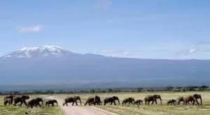 Epic Tours Safaris-Kenya Budget Safaris-African Budget Safaris-Wildlife Safaris-Travel-Act