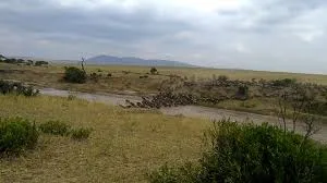 Wildebeest Migration Active Adventure Safari, Safari Booking,YHA Kenya Travel,Wildlife Saf