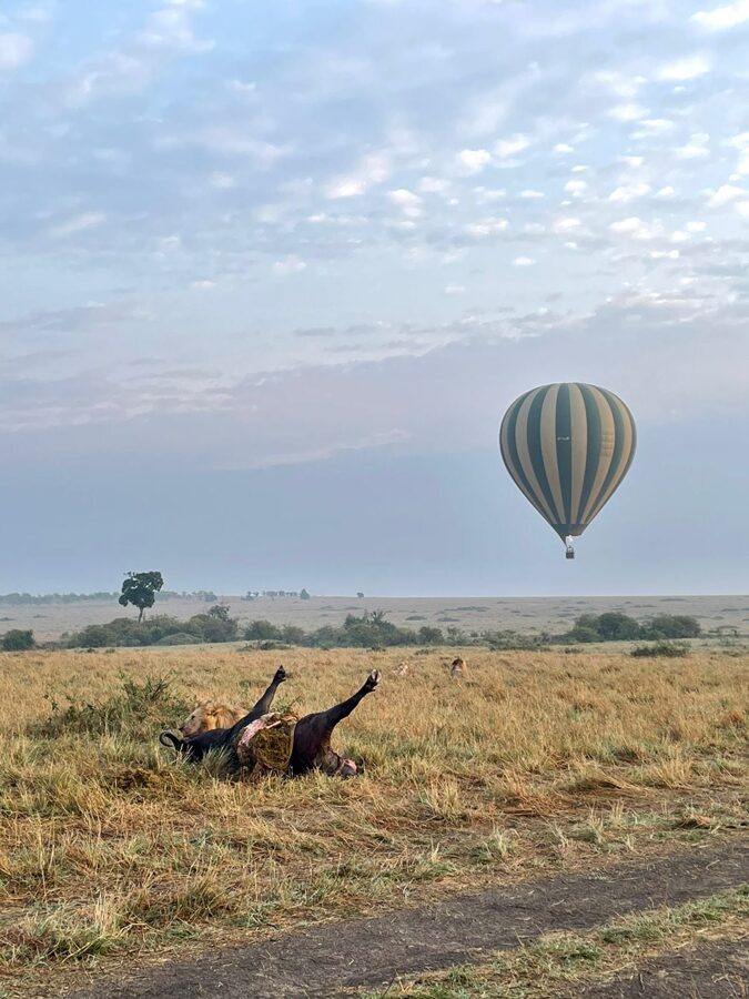 Balloon Safaris Adventure in Masai Mara Kenya, Hot Air Balloon Safari, Balloon Safari, Air Balloon, Kenya Adventure Safaris, hot air balloon safaris package, Masai Mara balloon safari experience.