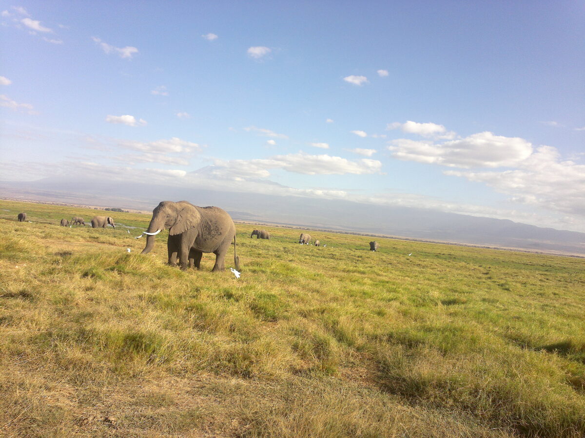  Epic Active YHA-Kenya Travel Tours & Safaris Adventure Budget Tanzania Camping Safari